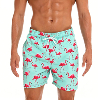 Shorts de bain décontractés pour hommes, écologiques, avec taille élastique, imprimés numériquement et doublure en mesh
