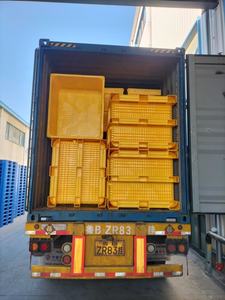 Lypalets קופסא מזרן פלסטיק מוצק/מיכל מזרן מים ואגירת פירות ים - Product Image 6