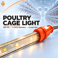 Tube lumineux LED à économie d'énergie pour volailles 48V sans scintillement, intensité variable, étanche IP67, solution d'éclairage linéaire pour fermes avicoles
