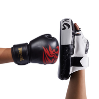 Échantillon gratuit, livraison gratuite, nouveau modèle, vente flash : Machine de boxe murale avec coussin de frappe en promotion
