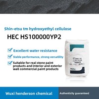 Shin-Etsu Cellulose HS100000YP2 Hydroxyéthylcellulose (HEC) Éther de cellulose Additif pour peinture Chine