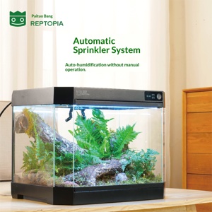 Modular Smart <strong>Reptile</strong> <strong>Terrarium</strong> with Dual-Zone Temperature Control and Automatic Spraying Rectangle Glass Design for Home Use - Product Image 5