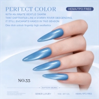 Nouvelle Collection de Gels Magnétiques Effet Œil de Chat TPO Sans HEMA, Vernis à Ongles Magnétique Effet Œil de Chat Soak Off, Fournitures pour Ongles avec Logo Personnalisé, Vente en Gros