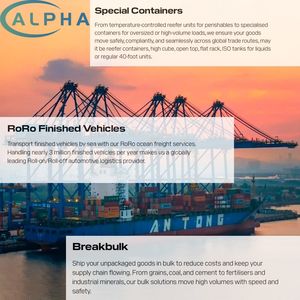 中国到刚果莫桑比克门到门货运代理 EXW FCA FOB DDP DAP 海运空运快递代理保险运输 - Product Image 3