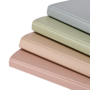 AFFISURE Wholesale Solid Color Customized A4 Foam PP Cover File Folder Clear Book 40 60 Pages Display Book - Product Image 4
