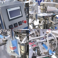 Machine de remplissage et d'emballage horizontale à double pompe pour liquides, grand volume, jus de fruits, ketchup, emballage en sachet préformé