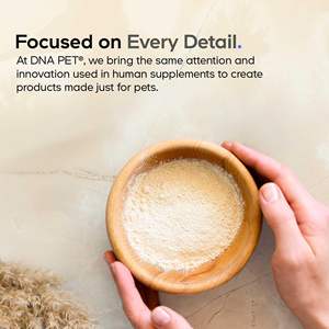 <span class=keywords><strong>นม</strong></span>แพะสูตรสำเร็จรูป<span class=keywords><strong>สำหรับ</strong></span><span class=keywords><strong>ลูก</strong></span>สุนัขและ<span class=keywords><strong>ลูก</strong></span>แมวแรก<span class=keywords><strong>เกิด</strong></span> - สูตรใกล้เคียงกับ<span class=keywords><strong>นม</strong></span>แม่ - Product Image 3