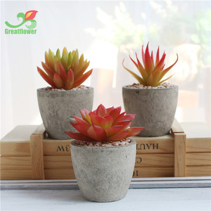 Le migliori <span class=keywords><strong>piante</strong></span> succulente <span class=keywords><strong>artificiali</strong></span> in vaso reali come Mini selezionate per la decorazione del Desktop - Product Image 5
