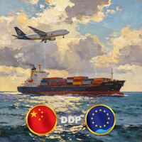 Transitaire DDP, Agent maritime mondial, Transport porte-à-porte par air et par mer pour les marchands en gros de l'UE