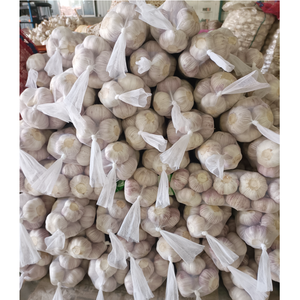 كيس شبكي عالي الجودة للمشروبات الطازجة 1 من الصين للتصدير الطبيعي من التوابل والأعشاب - Product Image 3