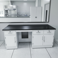 Mesa de Laboratorio con Gabinete con Cerradura, Estructura Completamente de Acero para Laboratorio de Inspección de Alimentos