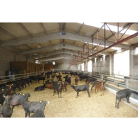 Casa Prefabricada de Metal para Granja Caprina