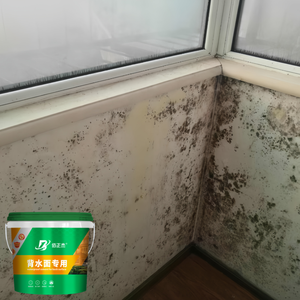 Revêtement imperméable pour mur humide, résistant à <span class=keywords><strong>l</strong></span>'humidité, écologique, durable, haute résistance, réparation de surface de contre-marée - Product Image 5