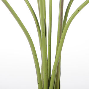 Plantas Artificiais <span class=keywords><strong>Calathea</strong></span> 100cm Plantas Artificiais Plantas De Piso Falso Em Vaso Para Decoração De Escritório Interior - Product Image 4