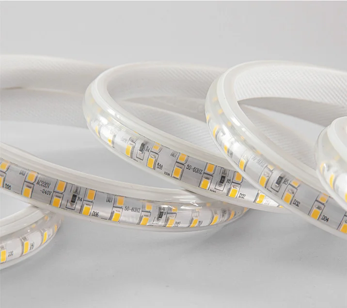 50meters 100Meters Roll High Bright SMD5730 Led Strip Light Waterproof 110V Strip Light 120v 220V Smart Flexible Light · image 5