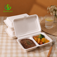 Sumkoka Contenants alimentaires à emporter 100% compostables et biodégradables 9x6, boîte à lunch jetable en bagasse de canne à sucre