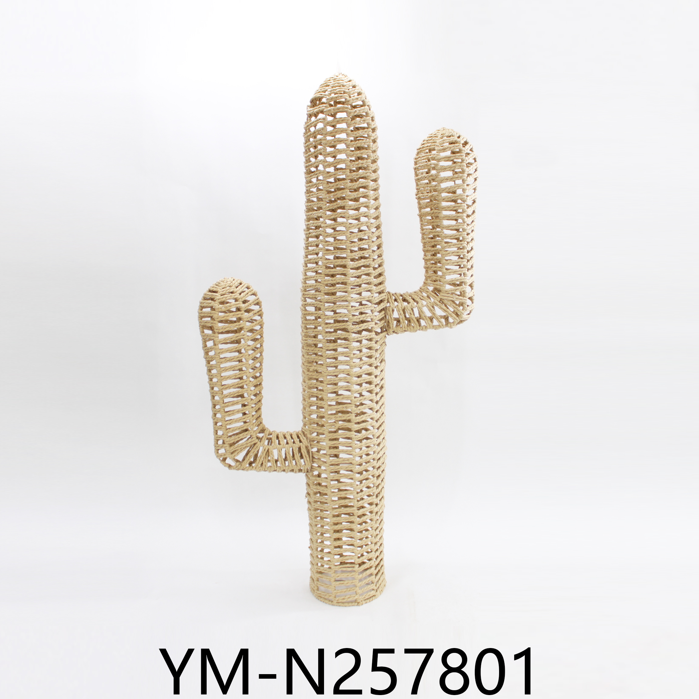 YM-N257801