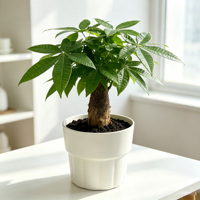 Pot de fleurs de bureau en plastique minimaliste léger et écologique de haute qualité pour la maison et l'intérieur