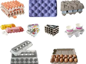 Hot Selling Professional Recycling Papier Zellstoff Eier ablage Herstellungs maschine Eier karton Maschine