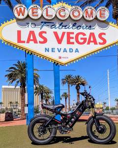 Vélo électrique à double batterie 52V 70AH, moteur 250W, stock UE, vélo hybride électrique, autonomie 100 km, vélo électrique 20 pouces, Fatbike, Dirt Bike - Product Image 6