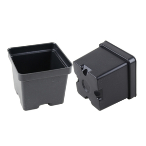 SCP450D Square Plastic planting Nursery thermoforming Pot For Plants