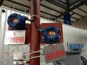 เครื่องตรวจจับก๊าซออกซิเจน O2 แบบป้องกันการระเบิด  เครื่องตรวจสอบก๊าซออกซิเจน  เซ็นเซอร์ O2 มาตรฐาน ATEX CE - Product Image 5