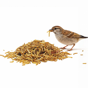 Vermi Gialli Essiccati Biologici ad Alto Contenuto Proteico Senza Cereali (<span class=keywords><strong>Tenebrio</strong></span> Molitor) per Alimenti per Pesci e Cani - Snack Naturale di Alta Qualità per Animali Domestici - Product Image 5