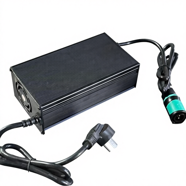 New Battery Charger Electric Lead Acid Lithium DC AC for Stacker Forklift with 1 Year Warranty China