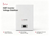 Régulateur de tension automatique (AVR) IGBT 3000W 5000W 8000W pour applications domestiques, énergies renouvelables et médicales