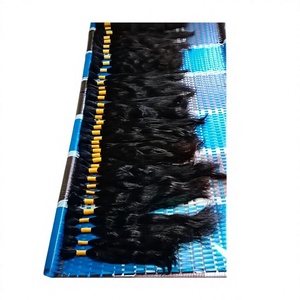 Cheveux Indiens Remy de Qualité Supérieure en Gros, Grade Unique, Écologiques, Provenant d'un Donneur Unique, En Stock - Product Image 5