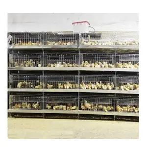 Equipo de cría de aves de corral, jaula de pollo, equipo de granja, venta