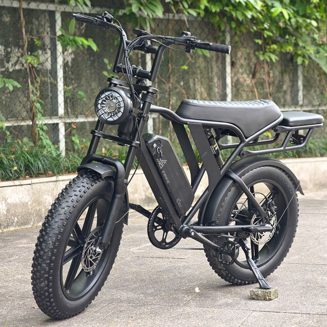 Electric Bicycle Disc Brake Dirt Bikes V20 V8 R002 Retro Sport Electronic Bicycle Fat Bike Ebike