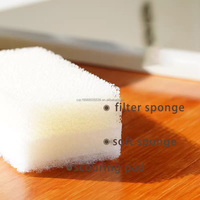 Vente d'usine de produits de nettoyage de cuisine ménagers personnalisés éponge filtrante éponge à récurer luffa