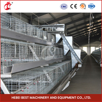 Cages pour poulets de chair entièrement automatiques de type A pour 20000 poulets de chair