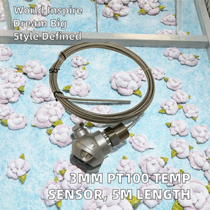 Capteur de température capillaire PT100 en acier inoxydable <span class=keywords><strong>VINSON</strong></span>, diamètre 3 mm, longueur 5 m, filetage NPT 3/4 pouces, industrie OEM/ODM - Product Image 2