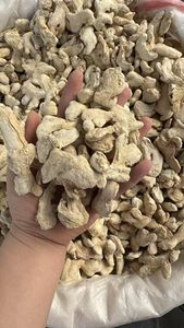 Сушеный цельный и сплит ломтик сухой зрелый имбирь - Product Image 4