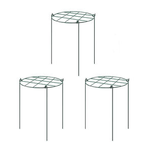 Support végétal enduit de poudre verte croître à travers la <span class=keywords><strong>grille</strong></span> - Product Image 3