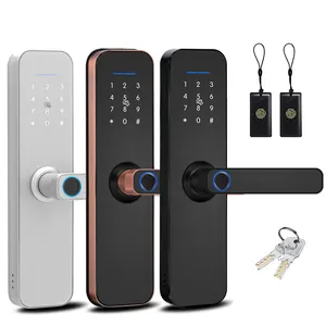 Keyless Entry Set Digital Ble Elektrisches Management Finger abdruck Smart Locks Wifi Tuya Ttlock Hotel Fingerraum-Türschloss system