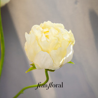 FONG IAN Fleur de pivoine artificielle à 3 têtes, vente chaude en usine, faible MOQ, décoration murale pour la remise des diplômes, la fête des mères, Pâques