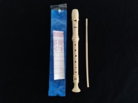 Jisaiersi — enregistreur en plastique ABS pour enfants et adultes, instrument de musique de bonne qualité, Soprano, marque allemande, bon prix