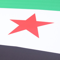 Housse de capot de voiture en tissu polyester avec drapeau national, vente directe usine, drapeau de la Syrie pour capot moteur