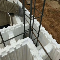 Blocs de mousse EPS haute densité pour coffrages isolants en béton (ICFs) pour la construction de villas modernes et d'ateliers - Écologiques