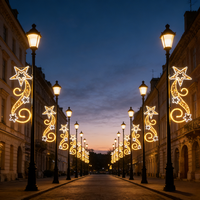 Lumières de Noël à motif étoile 2D personnalisées pour la décoration de la maison et du paysage, montées sur poteau LED, hauteur 150 cm, 200 cm, 250 cm, 300 cm