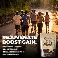Fabricant de suppléments de protéines de lactosérum en vrac, solution de nutrition sportive, protéines de lactosérum pour la récupération musculaire