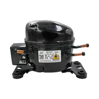 Compresseur à piston Compresseur de congélateur Compresseur 12v Réfrigérateur