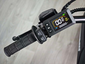 Motocicleta de montaña M5 con motor de transmisión directa de montaje medio, 120 Nm de torque, para pendientes pronunciadas y cross country. - Product Image 3