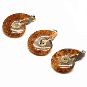 Collar de Fósiles de Caracol de Piedra Natural, Colgante de Concha, Piedra Semipreciosa, Regalo de Boda, Nuevo Cuidado DE LA <span class=keywords><strong>Piel</strong></span> - Product Image 4