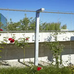 垂直花园绿色墙网新产品轻质环保网