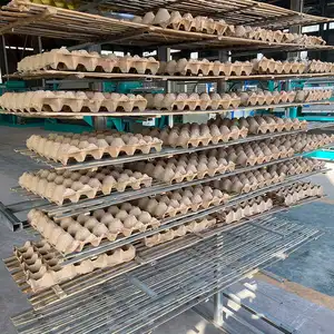 Wholesale Price Good Quality Automatic 1000 Pcs/h Small Paper Pulp Molding Egg Tray Making Machine