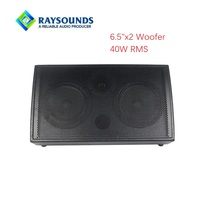 Amplificateur de guitare acoustique portable rechargeable 40W double 6,5 pouces avec microphone sans fil pour l'extérieur